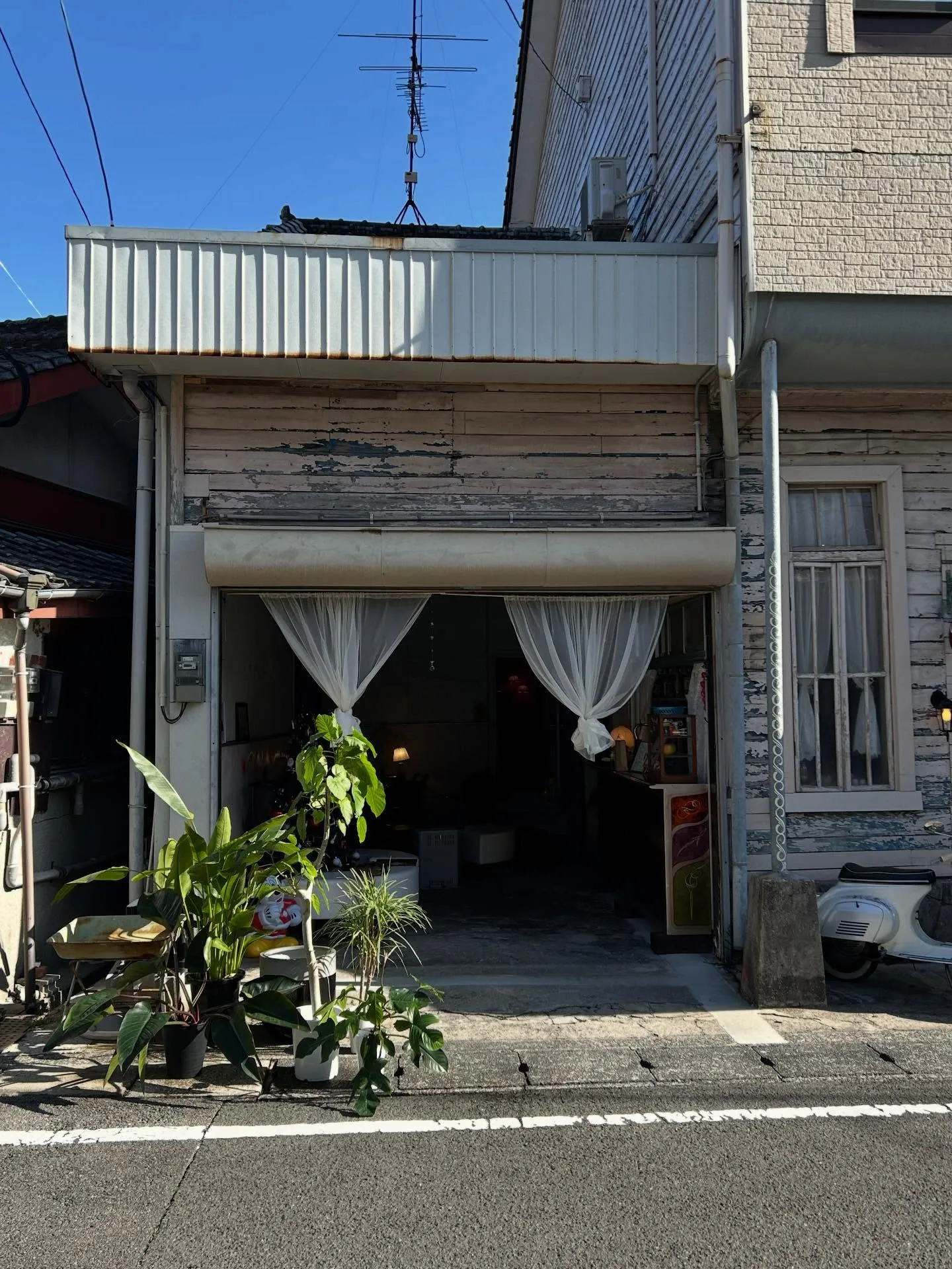 本日、いつもの「OLLA」からモーニングコーヒー☕︎をゲット...