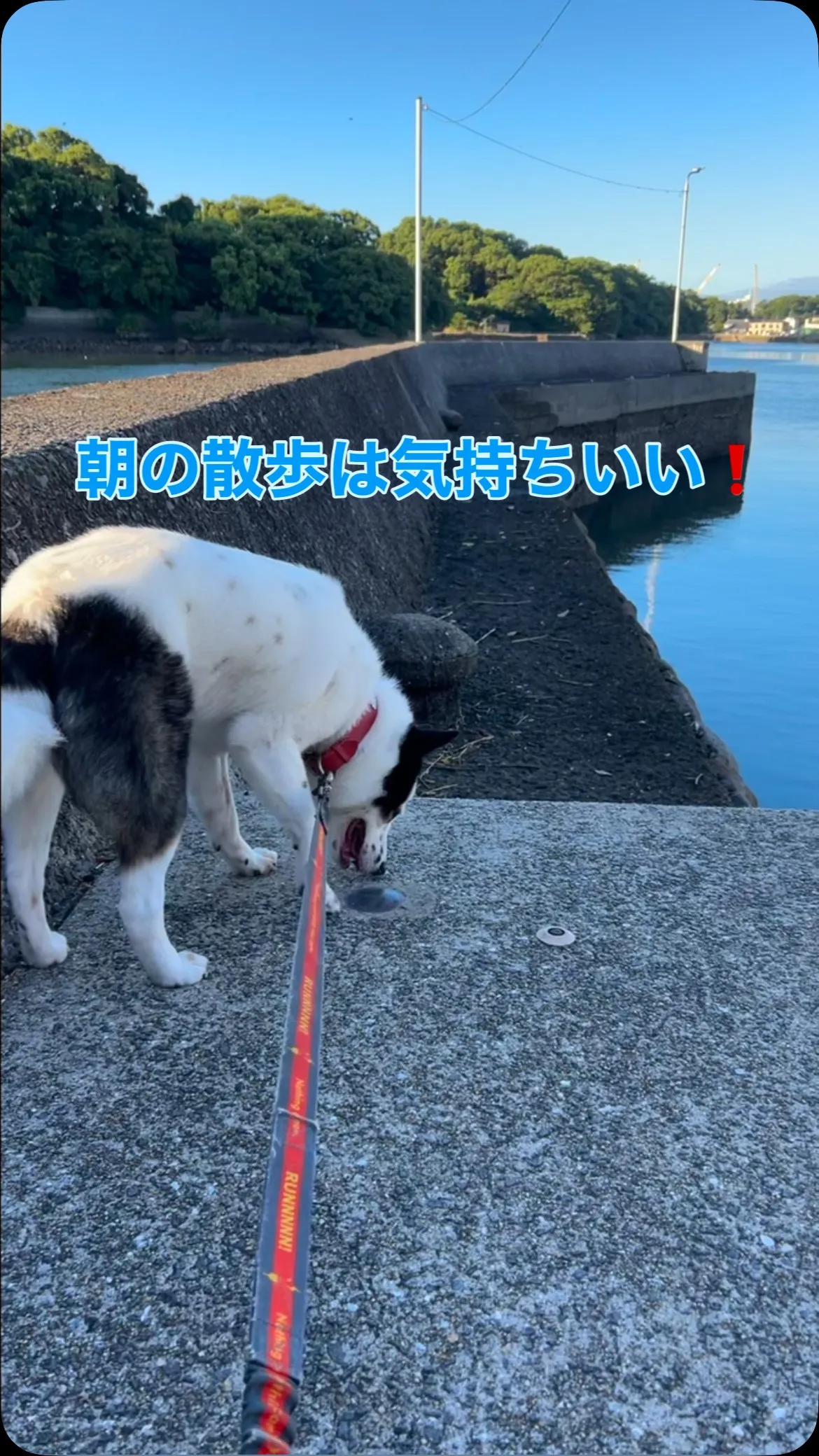 おはようございます☀️薬剤師のけんいちろうです♪